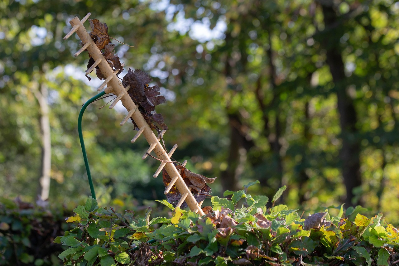 TornadoMax: il bruciaerbacce che rende il tuo giardino eco-friendly e curato [Guida Pratica]